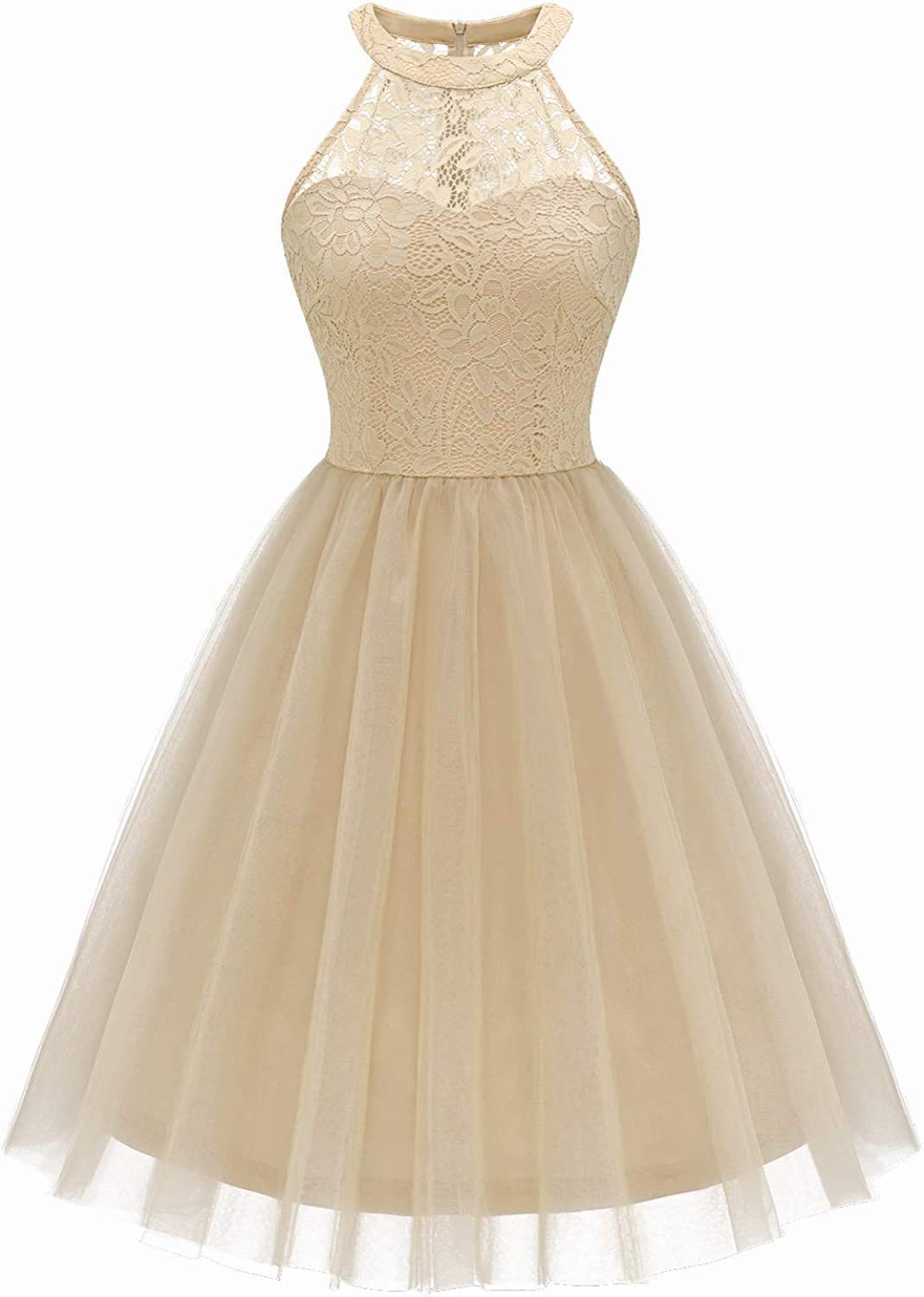 The Alina – Lace Mesh Dress